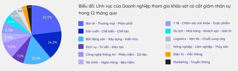 Biểu đồ lĩnh vực doanh nghiệp tham gia khảo sát cắt giảm nhân sự trong 12 tháng qua.