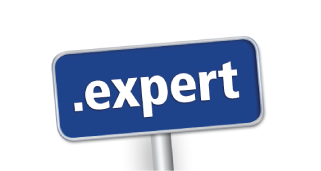 Domain .expert