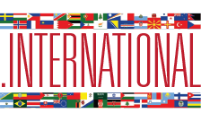 Domain .int.vn