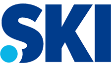 Domain .ski